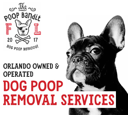 Dog best sale poop service