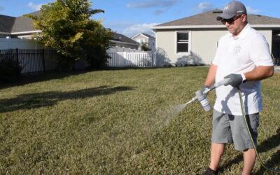 Poop Bandit Dog Poop Removal Wysiwash Service