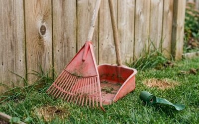 DIY vs. Professional Dog Waste Removal: What’s Really Worth It?